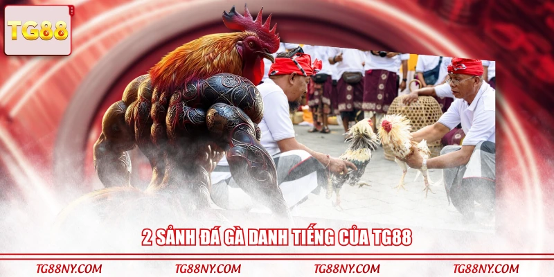 2 sảnh đá gà danh tiếng của TG88