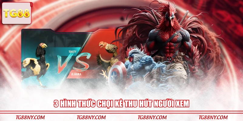 3 hình thức chọi kê thu hút người xem